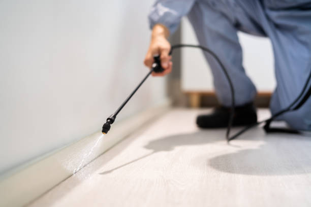 Professional exterminator conducting IPM assessment in Stillwater
